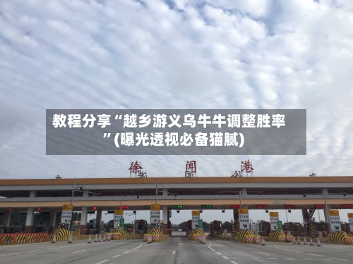 教程分享“越乡游义乌牛牛调整胜率”(曝光透视必备猫腻)-第2张图片