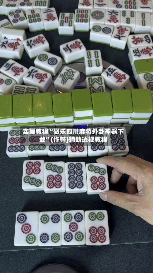 实操教程“微乐四川麻将外卦神器下载”(作弊)辅助透视教程-第3张图片