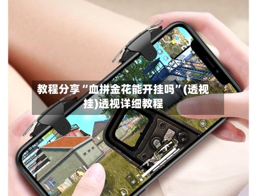 教程分享“血拼金花能开挂吗”(透视挂)透视详细教程-第2张图片