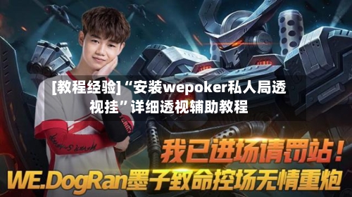 [教程经验]“安装wepoker私人局透视挂	”详细透视辅助教程-第2张图片
