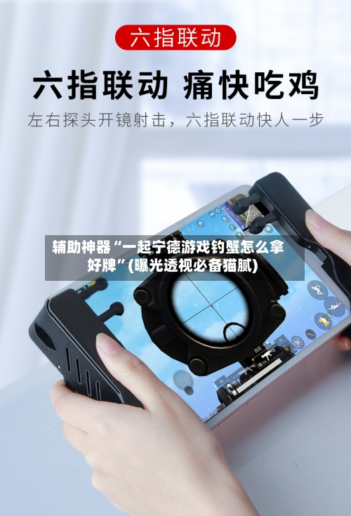 辅助神器“一起宁德游戏钓蟹怎么拿好牌”(曝光透视必备猫腻)-第2张图片