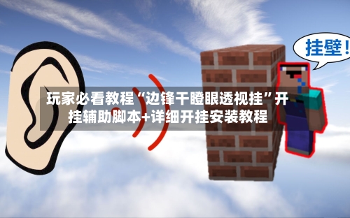 玩家必看教程“边锋干瞪眼透视挂”开挂辅助脚本+详细开挂安装教程-第3张图片