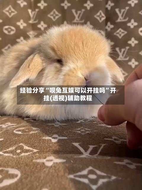 经验分享“呗兔互娱可以开挂吗	”开挂(透视)辅助教程-第2张图片
