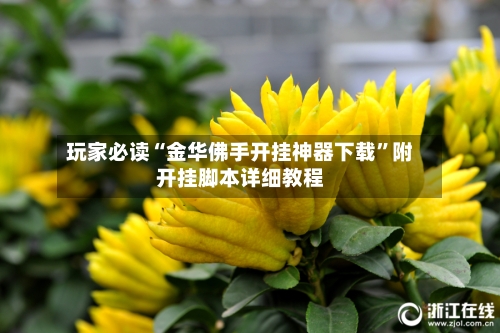 玩家必读“金华佛手开挂神器下载”附开挂脚本详细教程
