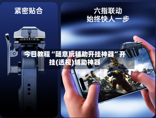 今日教程“随意玩辅助开挂神器	”开挂(透视)辅助神器-第2张图片