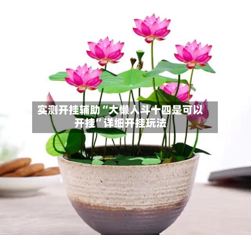 实测开挂辅助“大懒人斗十四是可以开挂”详细开挂玩法