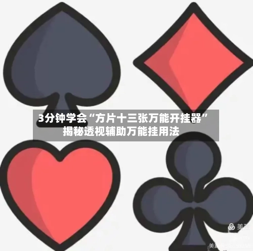 3分钟学会“方片十三张万能开挂器	”揭秘透视辅助万能挂用法-第3张图片