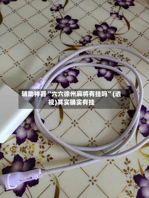 辅助神器“六六徐州麻将有挂吗”(透视)其实确实有挂-第3张图片
