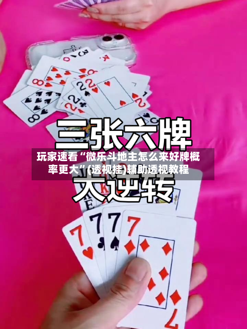 玩家速看“微乐斗地主怎么来好牌概率更大”(透视挂)辅助透视教程-第2张图片