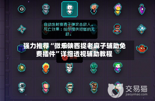 强力推荐“微乐陕西捉老麻子辅助免费插件”详细透视辅助教程-第3张图片
