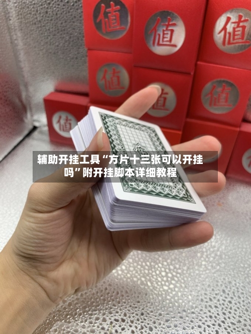 辅助开挂工具“方片十三张可以开挂吗”附开挂脚本详细教程-第2张图片