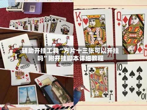 辅助开挂工具“方片十三张可以开挂吗”附开挂脚本详细教程-第3张图片