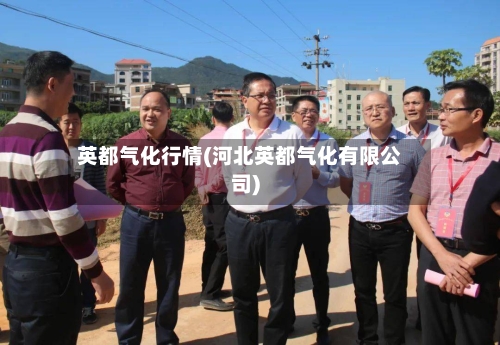 英都气化行情(河北英都气化有限公司)-第2张图片