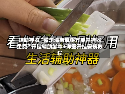 辅助神器“微乐海南麻将万能开挂器免费”开挂辅助脚本+详细开挂安装教程