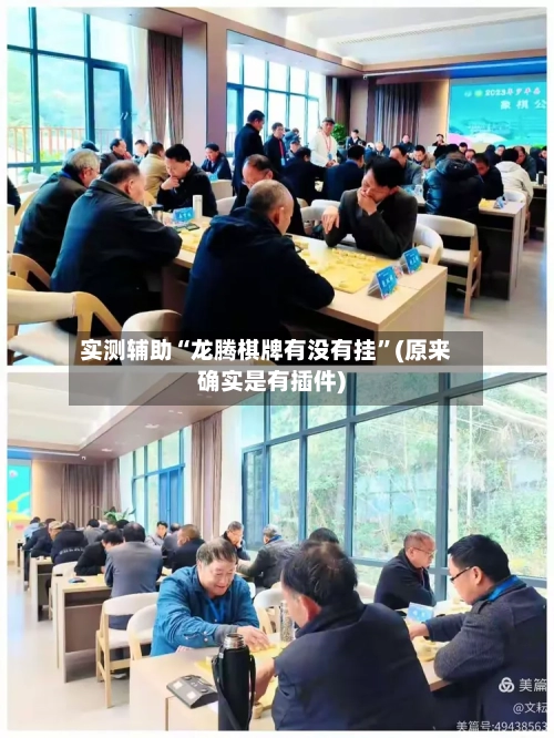 实测辅助“龙腾棋牌有没有挂	”(原来确实是有插件)-第2张图片