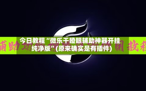 今日教程“微乐干瞪眼辅助神器开挂纯净版”(原来确实是有插件)-第2张图片