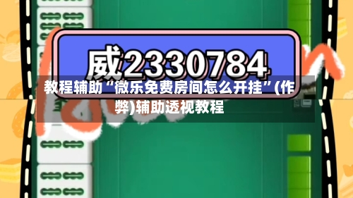 教程辅助“微乐免费房间怎么开挂	”(作弊)辅助透视教程-第2张图片