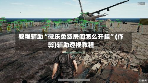 教程辅助“微乐免费房间怎么开挂”(作弊)辅助透视教程-第3张图片