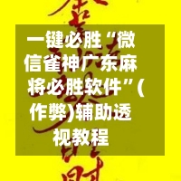 一键必胜“微信雀神广东麻将必胜软件”(作弊)辅助透视教程-第3张图片