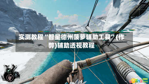 实测教程“智星德州菠萝辅助工具	”(作弊)辅助透视教程-第2张图片