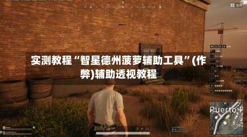 实测教程“智星德州菠萝辅助工具”(作弊)辅助透视教程-第3张图片