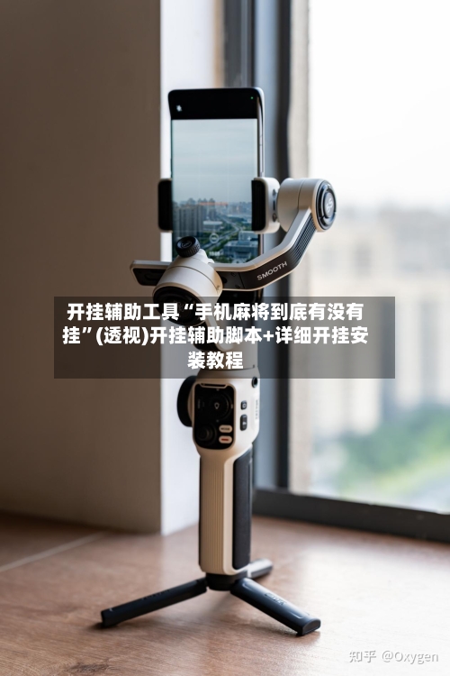 开挂辅助工具“手机麻将到底有没有挂”(透视)开挂辅助脚本+详细开挂安装教程-第2张图片