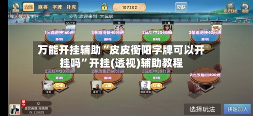 万能开挂辅助“皮皮衡阳字牌可以开挂吗”开挂(透视)辅助教程-第2张图片