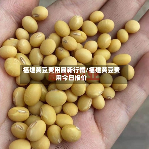 福建黄豆费用最新行情/福建黄豆费用今日报价-第2张图片
