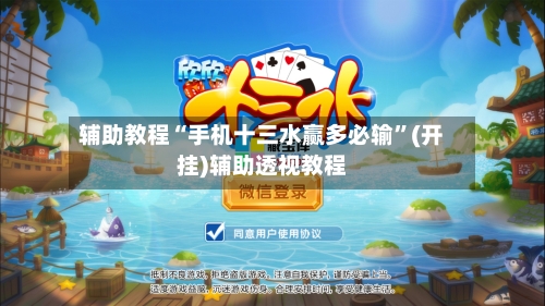 辅助教程“手机十三水赢多必输”(开挂)辅助透视教程-第2张图片
