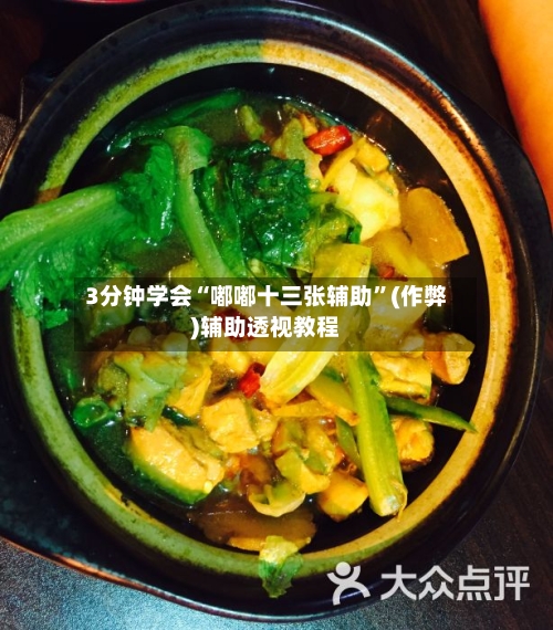 3分钟学会“嘟嘟十三张辅助”(作弊)辅助透视教程-第2张图片