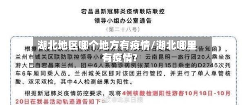 湖北地区哪个地方有疫情/湖北哪里有疫情?-第2张图片