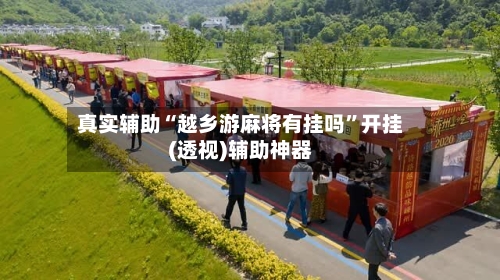 真实辅助“越乡游麻将有挂吗”开挂(透视)辅助神器-第3张图片