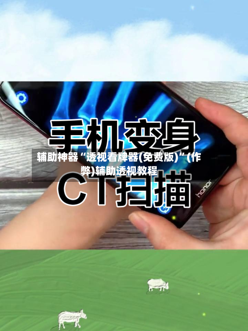 辅助神器“透视看牌器(免费版)”(作弊)辅助透视教程