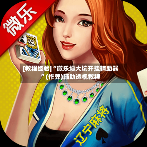 [教程经验]“微乐填大坑开挂辅助器”(作弊)辅助透视教程