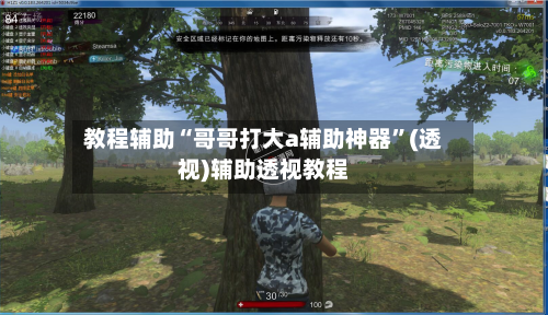 教程辅助“哥哥打大a辅助神器	”(透视)辅助透视教程-第2张图片