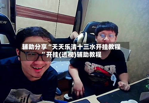 辅助分享“天天乐清十三水开挂教程”开挂(透视)辅助教程-第3张图片