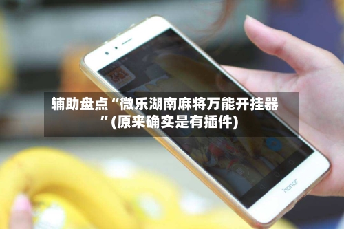 辅助盘点“微乐湖南麻将万能开挂器	”(原来确实是有插件)-第2张图片