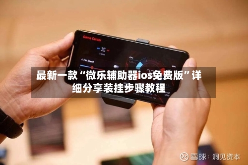 最新一款“微乐辅助器ios免费版”详细分享装挂步骤教程-第2张图片