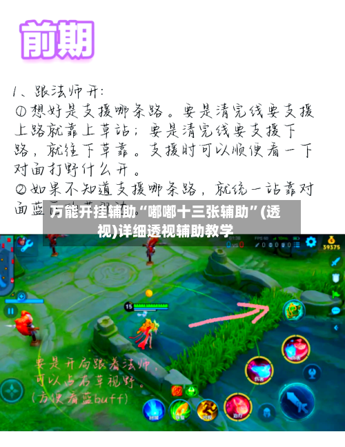 万能开挂辅助“嘟嘟十三张辅助”(透视)详细透视辅助教学-第3张图片