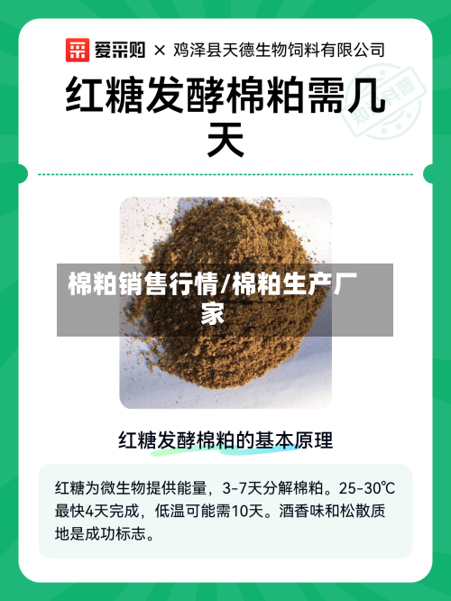 棉粕销售行情/棉粕生产厂家