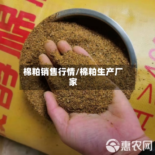 棉粕销售行情/棉粕生产厂家-第3张图片
