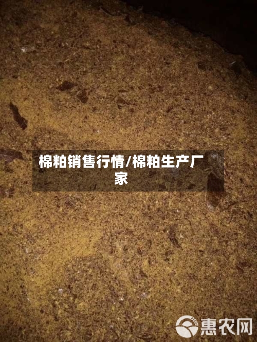 棉粕销售行情/棉粕生产厂家-第2张图片