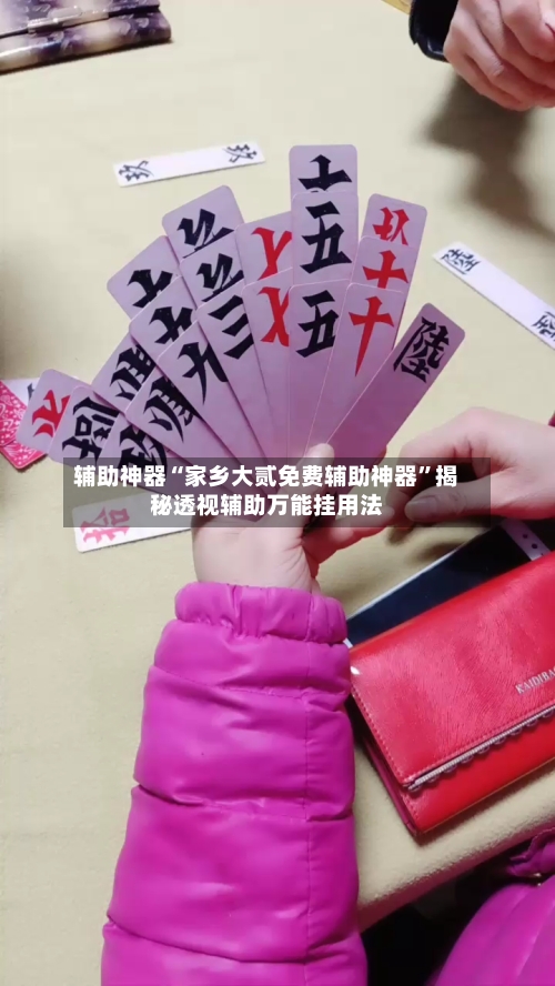 辅助神器“家乡大贰免费辅助神器	”揭秘透视辅助万能挂用法-第2张图片