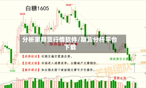 分析家期货行情软件/期货分析平台下载