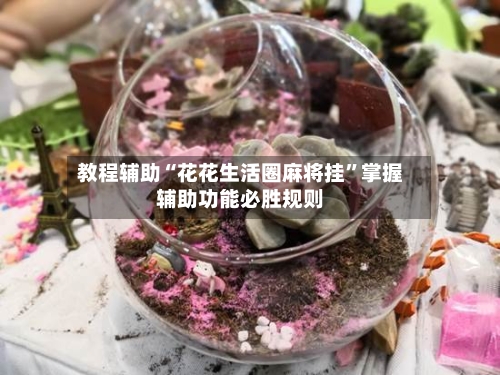 教程辅助“花花生活圈麻将挂”掌握辅助功能必胜规则