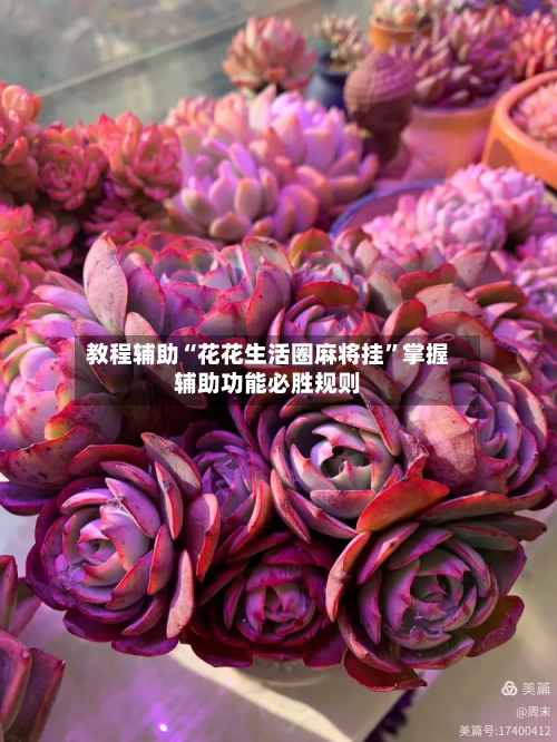 教程辅助“花花生活圈麻将挂	”掌握辅助功能必胜规则-第2张图片