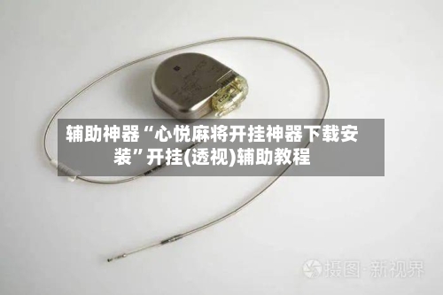 辅助神器“心悦麻将开挂神器下载安装	”开挂(透视)辅助教程-第2张图片