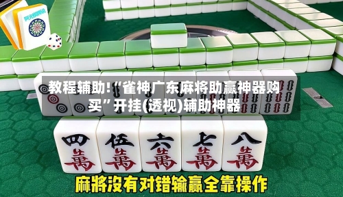 教程辅助!“雀神广东麻将助赢神器购买”开挂(透视)辅助神器-第3张图片