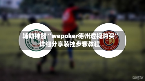辅助神器“wepoker德州透视购买”详细分享装挂步骤教程