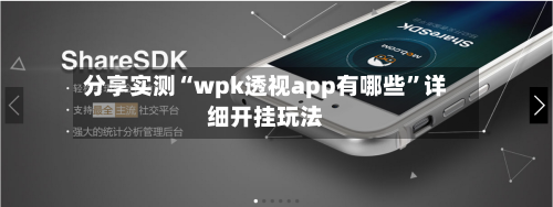 分享实测“wpk透视app有哪些”详细开挂玩法-第2张图片